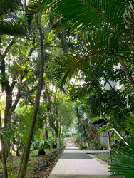 Braddell View (D20), Apartment #257292681